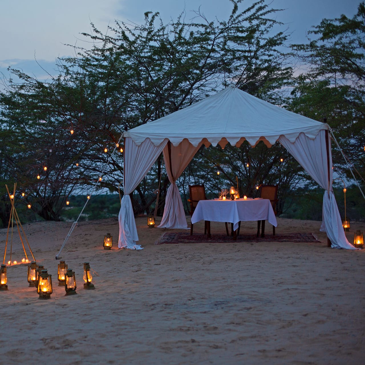 Thar Desert Camp Sam Jaisalmer